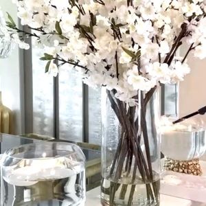 Meet your Posher, Poppy